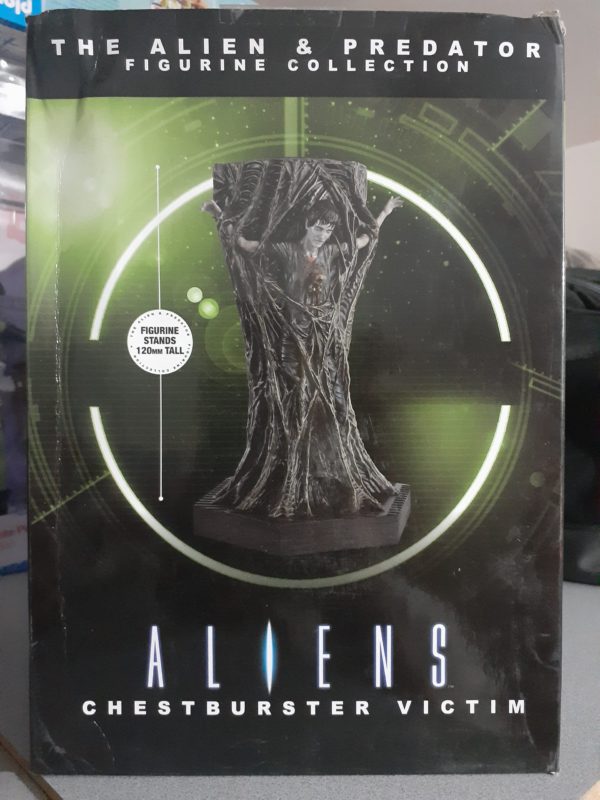 import placeholder for 3113