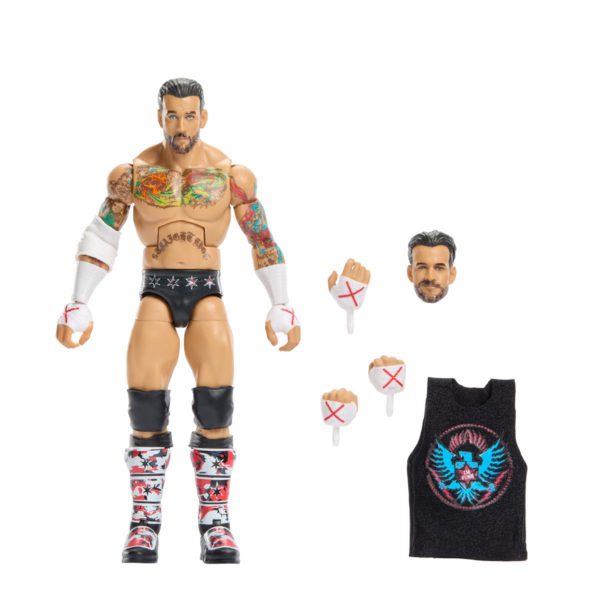 cm punk top picks