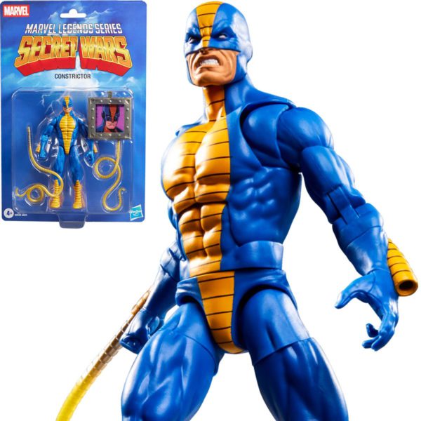 constrictor